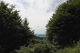 Blick vom Kammweg ins westliche Harzvorland