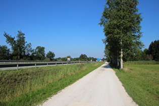 Radweg, idyllisch an der A8 gelegen