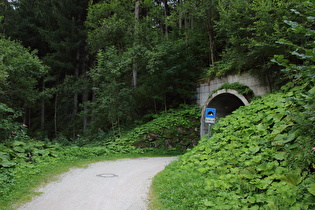 Tunnel im Verlauf des Pustertal Radwegs