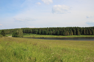 Mandelholztalsperre, Blick zum Staudamm