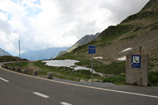 Alpen (Sustenpass)