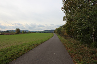 Weserradweg zwischen Hameln und Tündern, Blick nach Süden