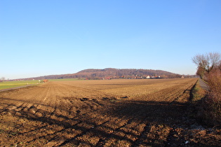 östlich von Ditterke, Blick auf Everloh und den Benther Berg