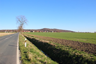 südlich des Großen Holz, Blick auf Northen und Benther Berg