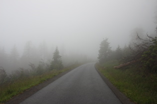 Brockenbett im Nebel, Blick bergauf …