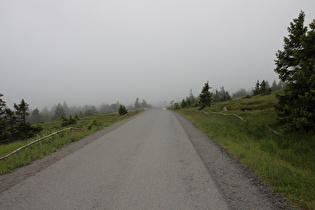 oberhalb 1100 m ü.NHN, Abfahrt im Nebel
