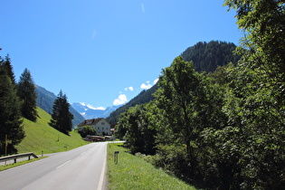 Blick über Stafflach in die Zillertaler Alpen