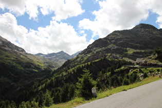 unterhalb der Malga del'Alpe, Blick ins Val di Gavia und zum Punta Sforzellina