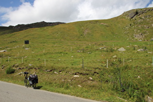 oberhalb der montanen Waldgrenze im Bereich der Malga del'Alpe