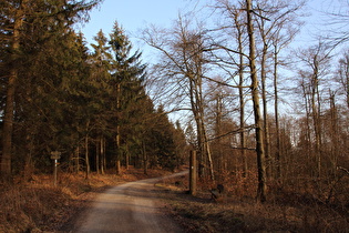 Kammweg südöstlich des Bröhn