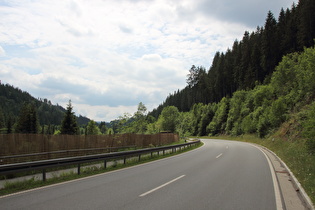 nördlich von Altenau, Blick nach Süden