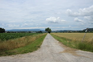 Werratalradweg nördlich von Eschwege, Blick zum Hohen Meißner