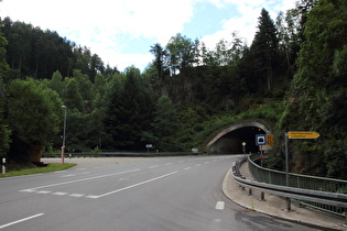 Nordportal des Steinbis-Tunnels