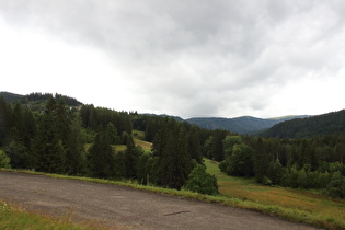 unterhalb von Feldberg-Bärental, Blick zum Feldberg
