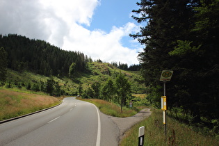 der Kohlplatz oberhalb von Feldberg-Bärental, Blick bergauf nach Südwesten