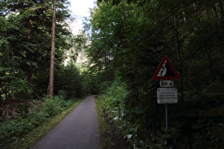 „Radweg Bregenzerwald“ an der Ostflanke der Kanisfluh