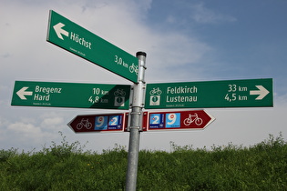 Rhein-Route zwischen Lustenau und Hard
