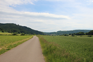 Weserradweg zwischen Bodenwerder und Rühle, Blick zur Rühler Schweiz