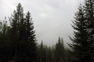 … Blick Richtung Peitlerkofel im Nebel