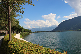 Alpen (Zeller See)