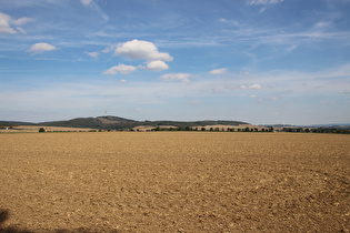 südlich von Sibbesse, Blick zum Griesberg, dem höchsten Berg im Hildesheimer Wald