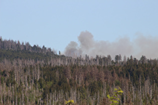 Zoom auf die Rauchwolke eines Waldbrandes