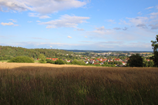 Blick über Frankenberg zum Burgwald