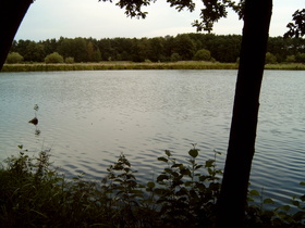ein Teich bei Wieckenberg