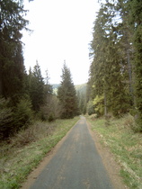 Schleichweg zur Okertalsperre im Kalbetal