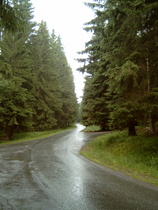 Straße auf den Wurmberg, flacheres Stück
