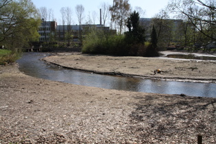 Mittlerer Teich, Wasser abgelassen, in Holzminden …