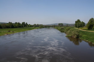 die Weser bei Kirchohsen, Blick nach Norden