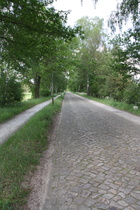 südlich von Wieckenberg, links "Radweg", rechts "Straße"<sub> 