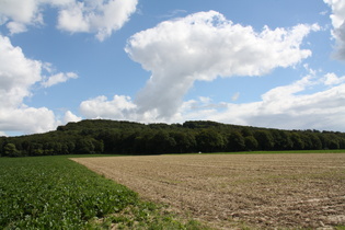 Benther Berg, Westflanke, südlicher Teil