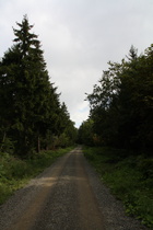 Deisterkammweg zwischen Nienstedter Pass, Passhöhe und Flugsicherungsanlage
