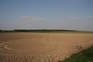 Agrarwüste zwischen Hagenburg und Wunstorf