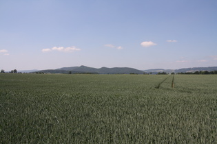 südlich von Stadtoldendorf auf dem Europaradweg R1, Blick auf den Köterberg und den Burgberg