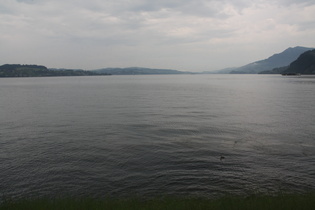Vierwaldstädter See, Südwestufer, Blick auf Weggis