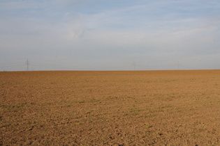 grausige Agrarwüste westlich von Hannover