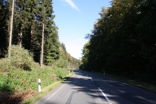 Nienstedter Pass, Nordostrampe, Blick bergab