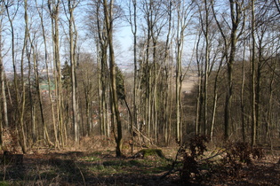 Blick vom Gipfel nach Osten über Benthe