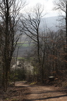 Südhang des Benther Berges, Blick nach Süden