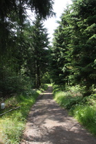 Jahnhüttenweg, geschotterter Abschnitt