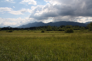 Blick über das Eschenloher Moss auf die Ammergauer Alpen, links im Hintergrund das Zugspitzmassiv