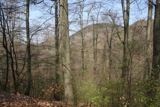 Blick auf den Eichenberg