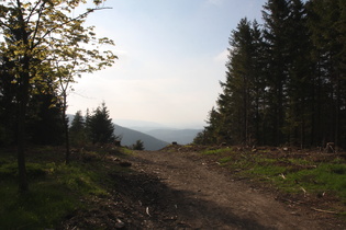 Blick von der Waldschrat-Hütte nach Westen