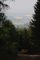 Zoom aus dem Harz heraus