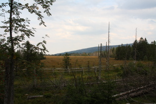 Blick über das Torfhausmoor nach Nordosten