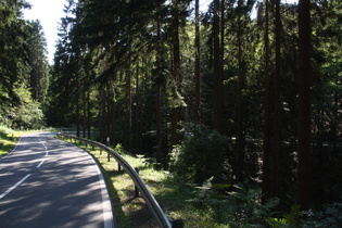 Abfahrt zwischen Hellefeld und Arnsberg, Kehre im Hellefelder Bachtal