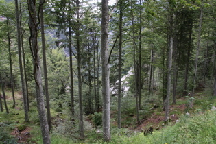 Blick ins steil abfallende Val Raccolana